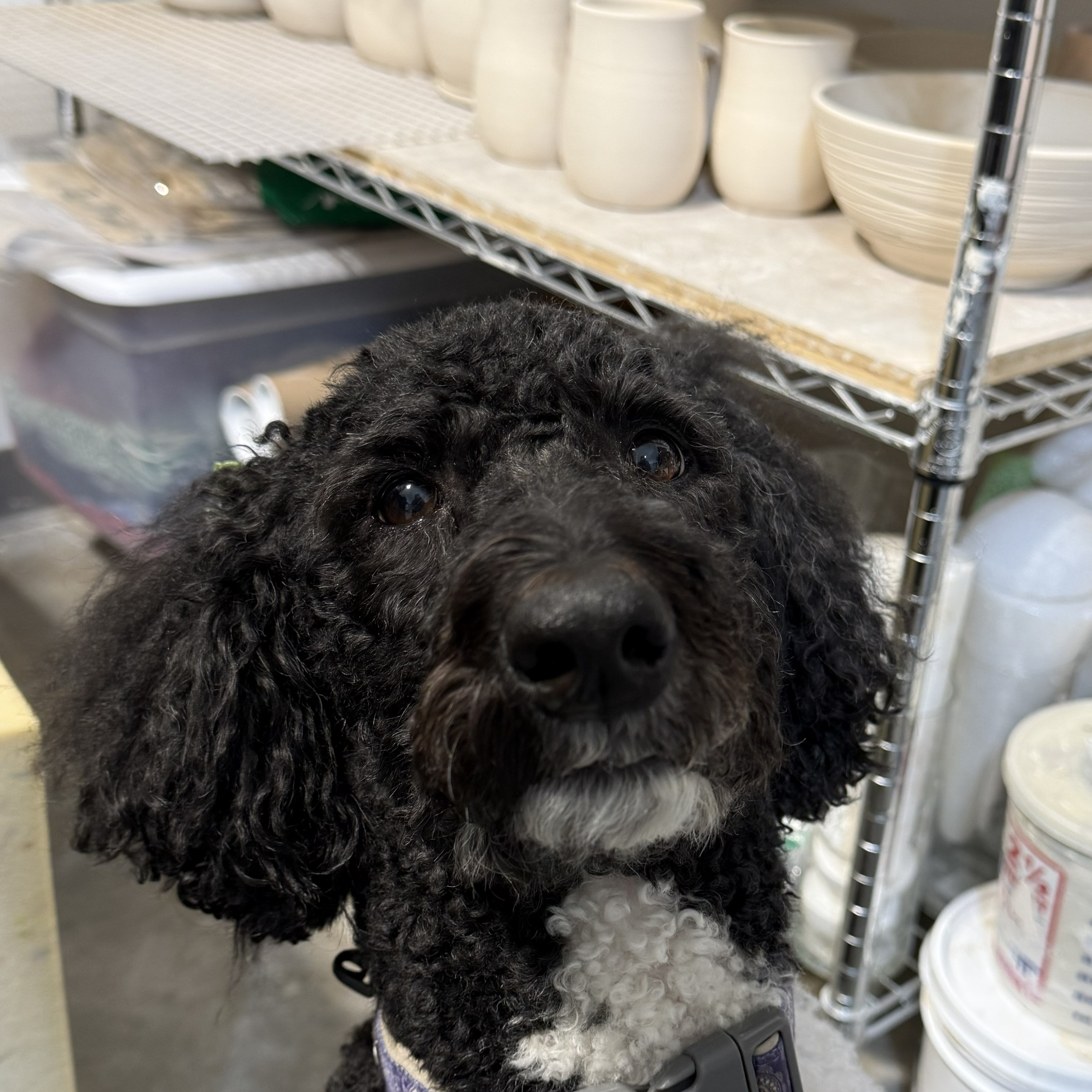 Lulu, Stone Fire Studio Production Supervisor