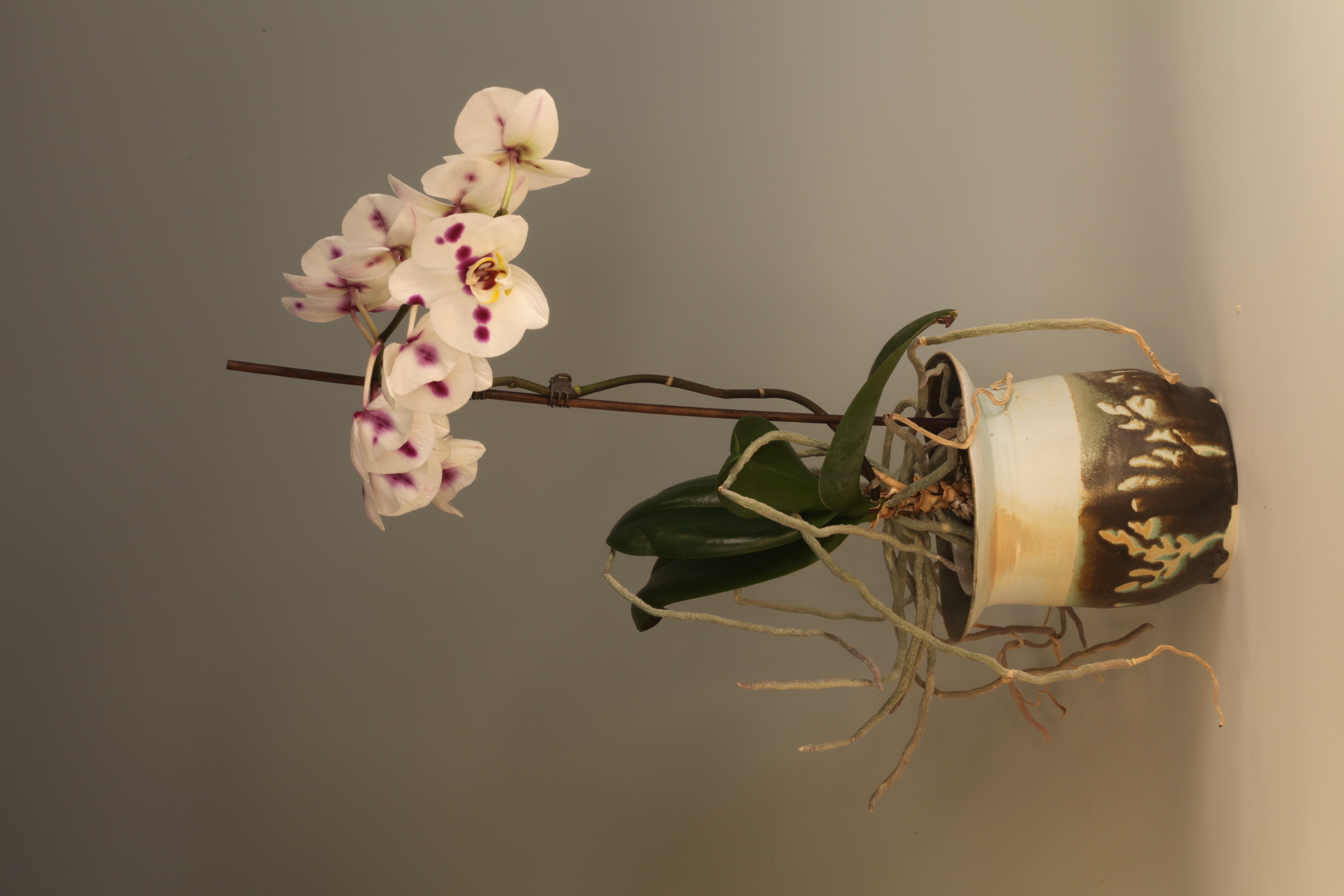 Curated collection of handmade ceramics arranged on a neutral surface